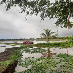 Adwaith  Saji Clubhouse