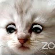 Raymond Tsang Clubhouse