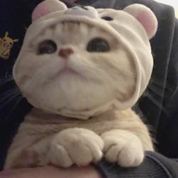 Clubhouse profile picture for @awry