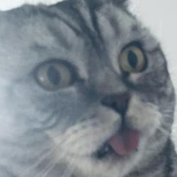 Clubhouse profile picture for @retard