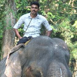 Sreeraj Thadathil Clubhouse