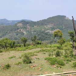 Bala bala Clubhouse