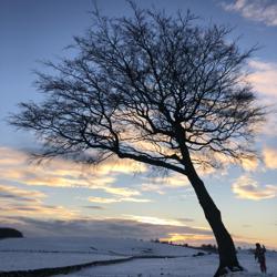 Paul Wilson Clubhouse