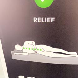 Clubhouse profile picture for @chiropractor