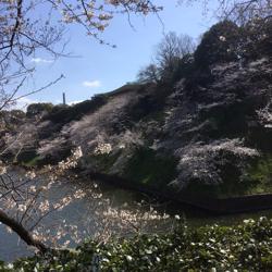 Mitsukazu Shiraishi Clubhouse