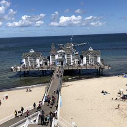 Clubhouse profile picture for @drafty