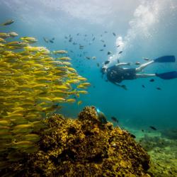 Daniel McMullen Clubhouse