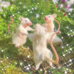 Bee Fullstop Clubhouse