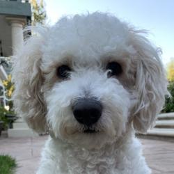 Clubhouse profile picture for @hallmark