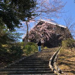 Miyu Kataoka Clubhouse