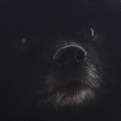 彩香 濱崎 Clubhouse