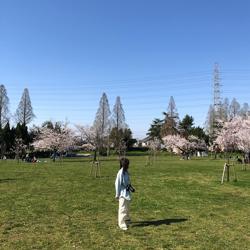 masaoka yurika Clubhouse