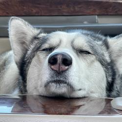 Victor Reyes Clubhouse