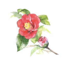 千鶴子 白石 Clubhouse