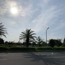 Naoki Miura Clubhouse