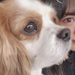 Mina Fukuchi Clubhouse