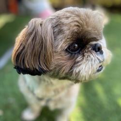 Mickey Atir Clubhouse