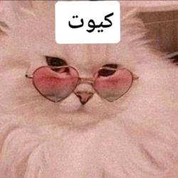 Riham raafat Clubhouse