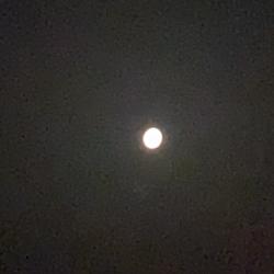 Melih♛ Ys Clubhouse