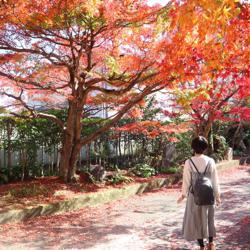 Shiori Tajiri Clubhouse