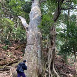 Shouta Kurushima Clubhouse