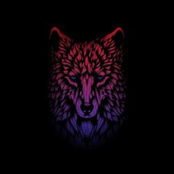 Clubhouse profile picture for @provides
