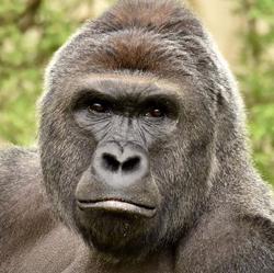 Takuma Futaki Clubhouse