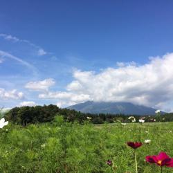 Masae Tashiro Clubhouse