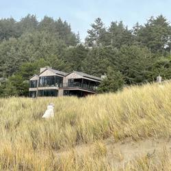 Xiaoqi Zheng Clubhouse