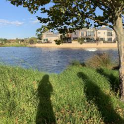 momo yamazaki Clubhouse