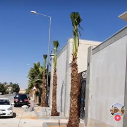 Abdullah Alharbi Clubhouse