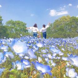 chihiro urabe Clubhouse