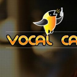 Vocal Care Clubhouse