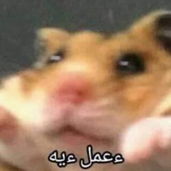 Yehia Megahed Clubhouse