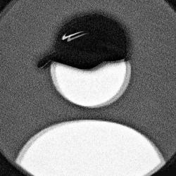 Clubhouse profile picture for @potassium
