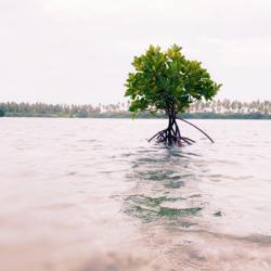 Aminath Ameena Clubhouse