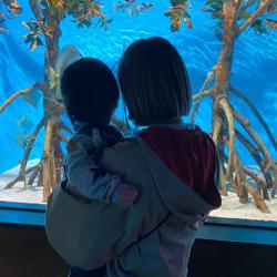 sayaka amagasaki Clubhouse