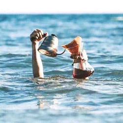 Lee Taylor Clubhouse