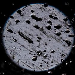 Yaroslav Kirichenko Clubhouse