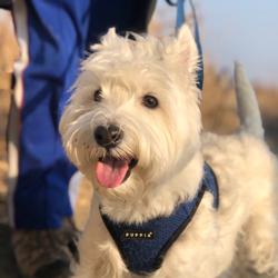 Jungho Choi Clubhouse