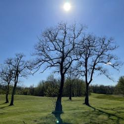 B. Rene’ Nev Clubhouse