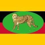 Clubhouse profile picture for @equatorial
