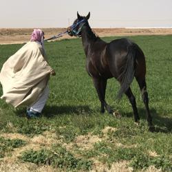 Abdulrahman Abdulmohsen Clubhouse