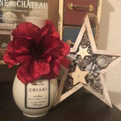 Chiaki☆ Oyama Clubhouse