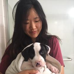 Hannah Bang Clubhouse