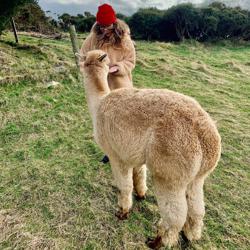 Sophia Jos Clubhouse