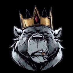 Clubhouse profile picture for @dhcp