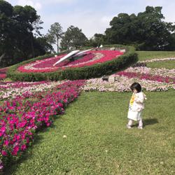 SiangHua Wu Clubhouse