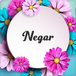 Negar Club Clubhouse