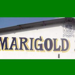 Marigold 2071 batch Clubhouse